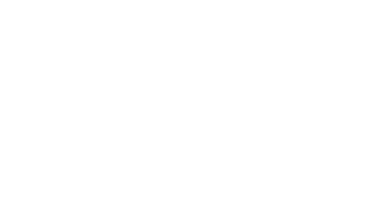 ABOUT the GS&C committee